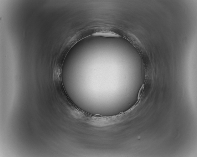 X0000115510045200911131350