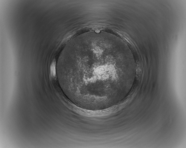 X0000115510046200911131349