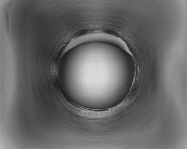 X0000115510048200911131349