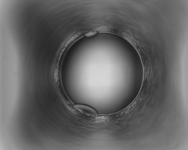 X0000115510050200911131349