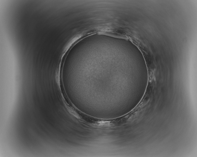 X0000115510052200911131349