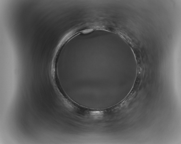 X0000115510053200911131349