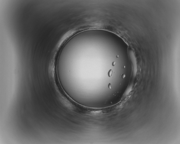 X0000115510054200911131349