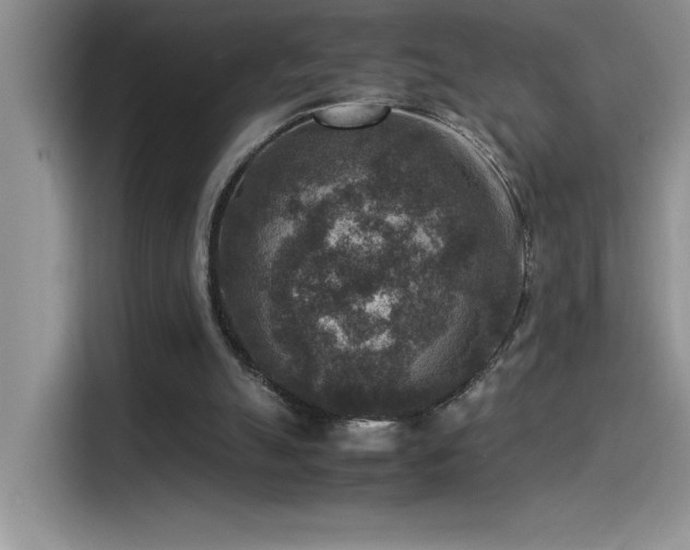 X0000115510055200911131349