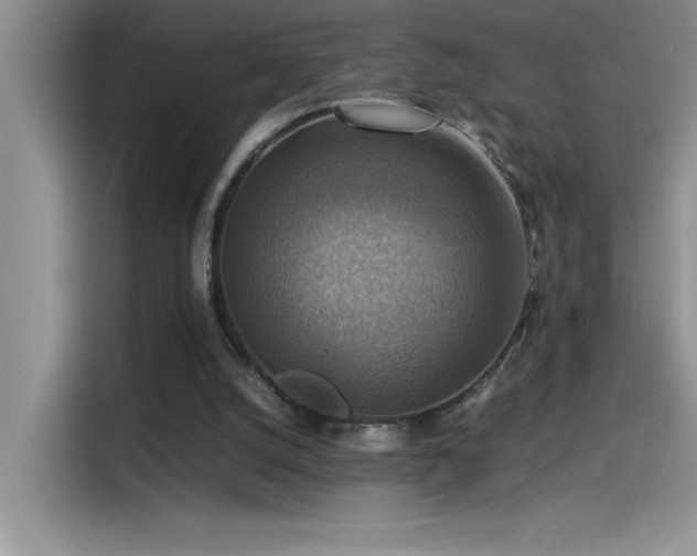 X0000115510056200911131349