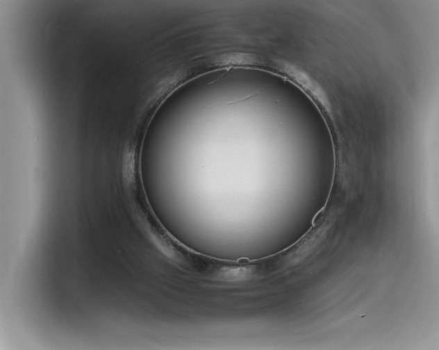 X0000115510057200911131349