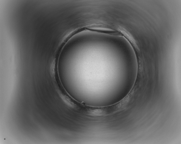 X0000115510058200911131349