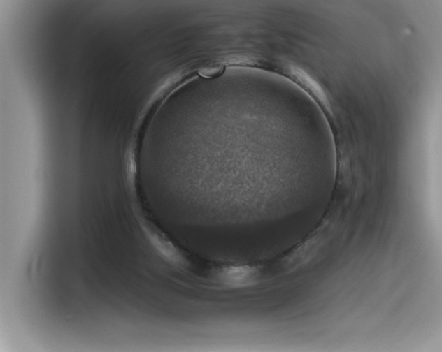 X0000115510059200911131349