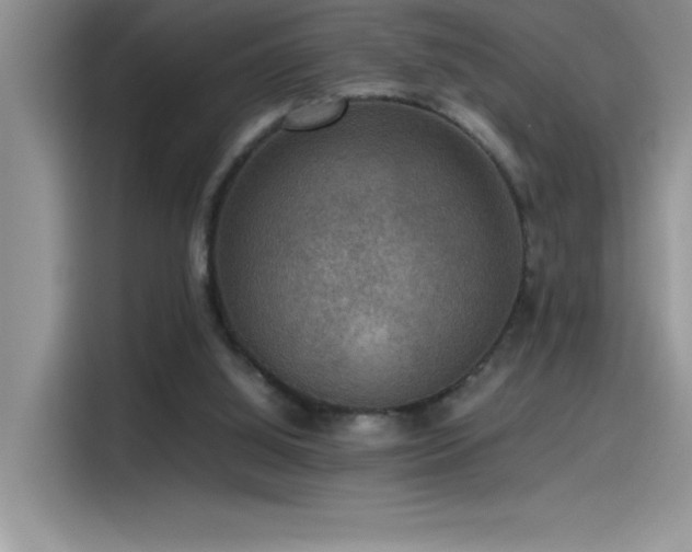 X0000115510060200911131349