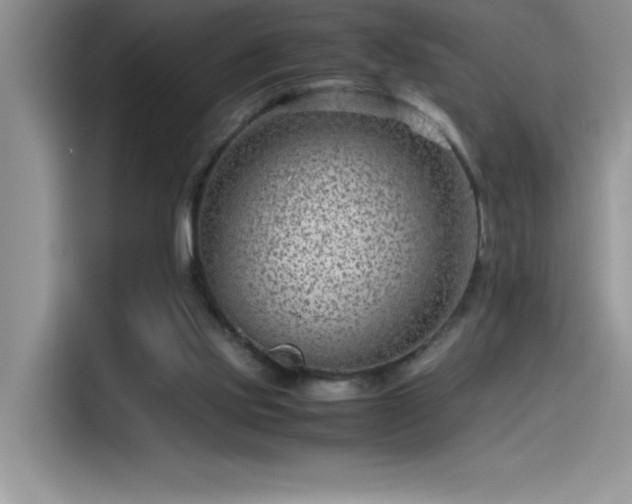 X0000115510061200911131349