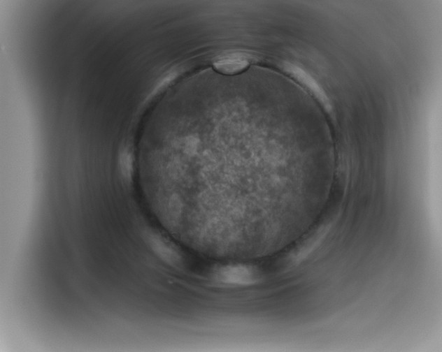 X0000115510063200911131349