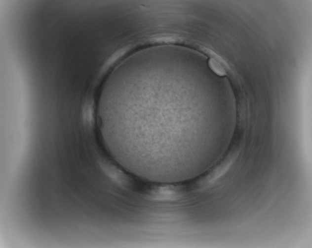 X0000115510064200911131349