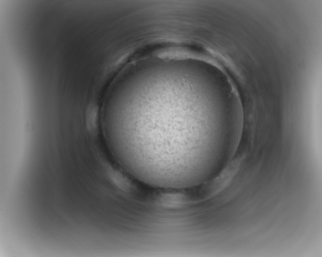 X0000115510066200911131349