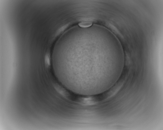 X0000115510068200911131349