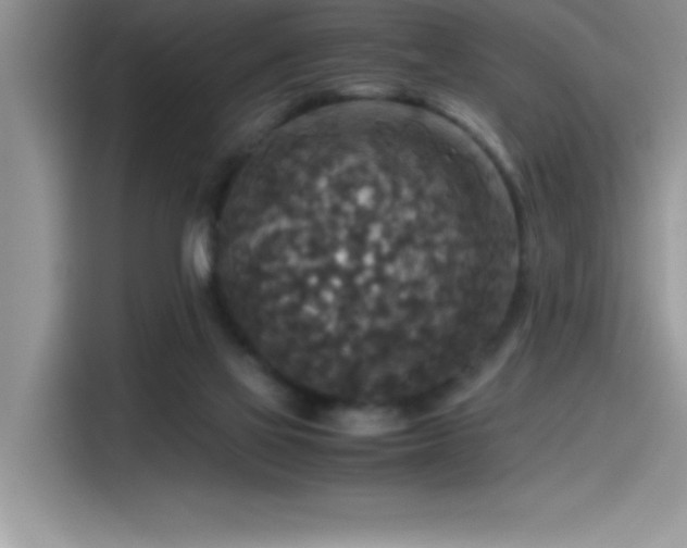 X0000115510069200911131349