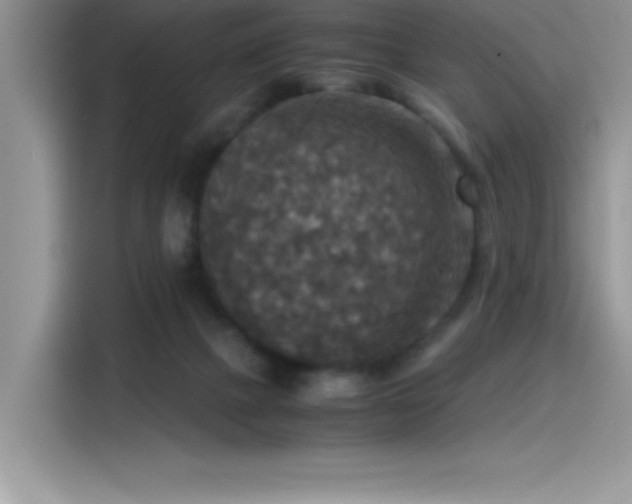 X0000115510073200911131349