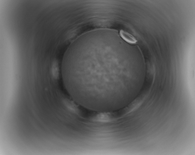 X0000115510080200911131349