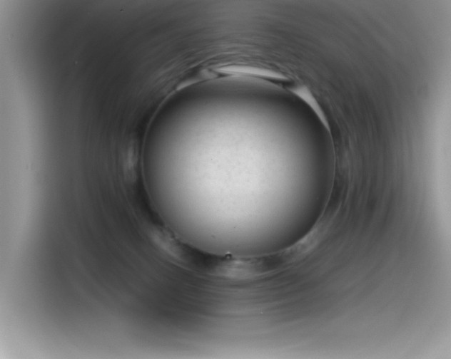 X0000115510082200911131349