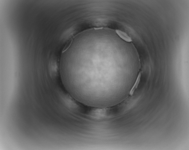 X0000115510084200911131349