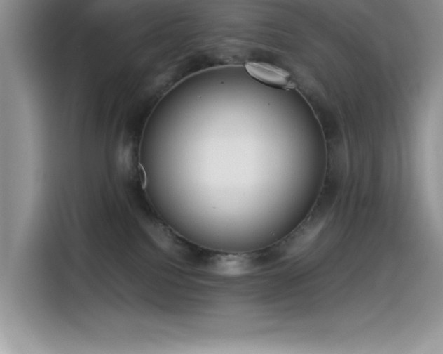 X0000115510088200911131349