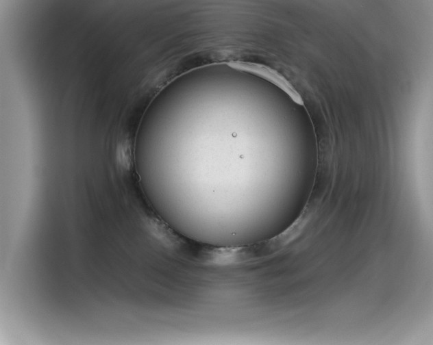 X0000115510090200911131349