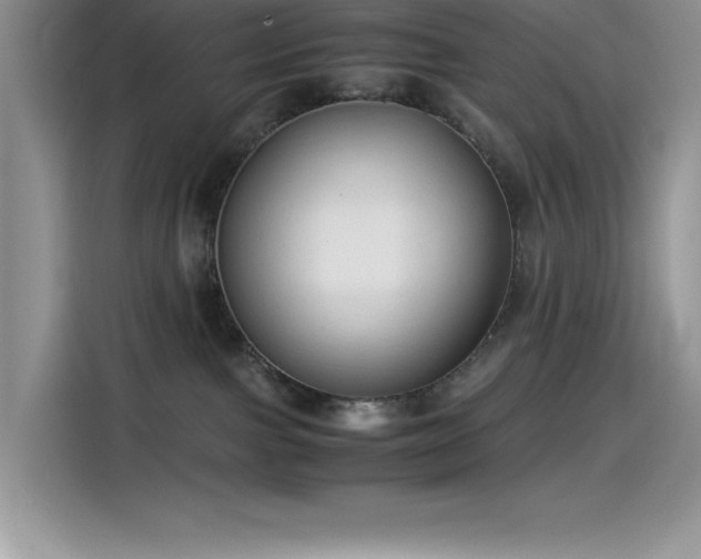 X0000115510091200911131349