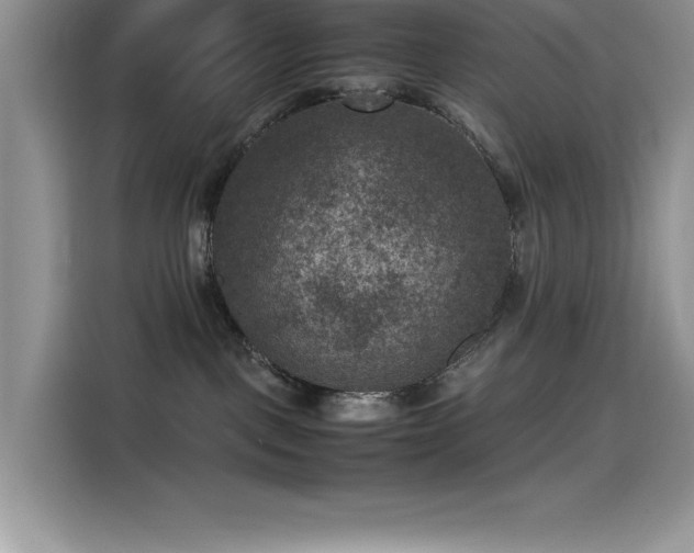 X0000115510093200911131349