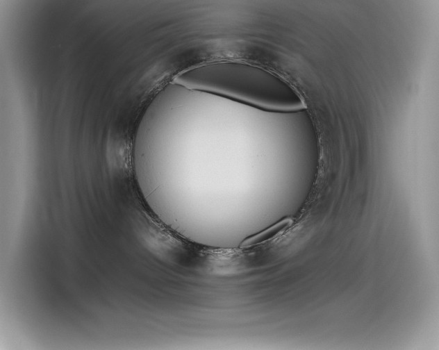 X0000115510096200911131349