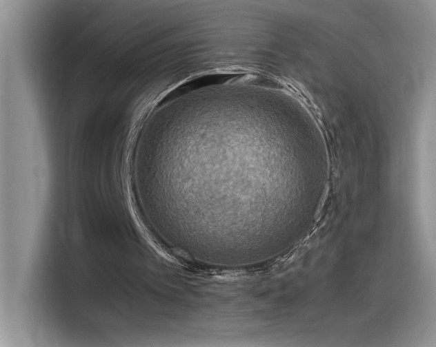 X0000115510097200911131349