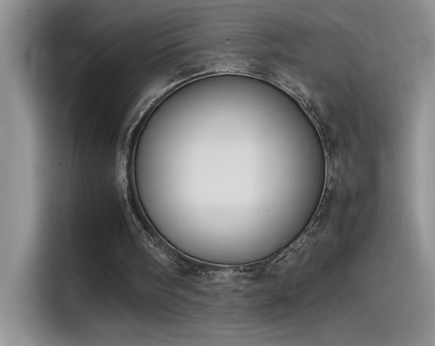 X0000115510098200911131349