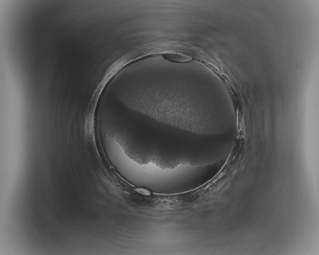 X0000115510099200911131349