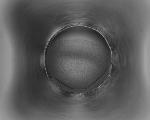 X0000115510100200911131349