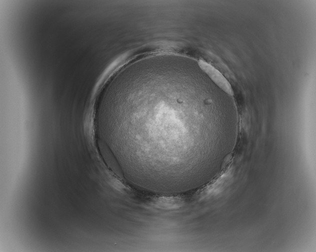 X0000115510101200911131349