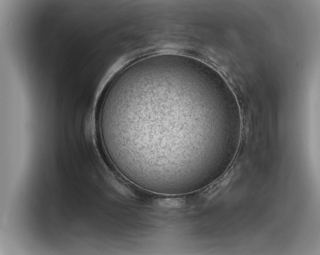 X0000115510102200911131349