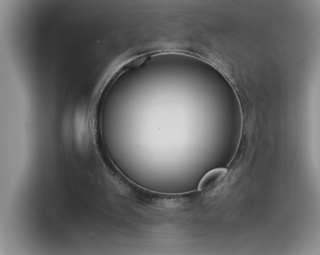 X0000115510103200911131349