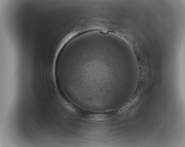 X0000115510104200911131349