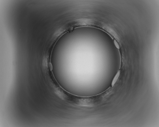 X0000115510105200911131349