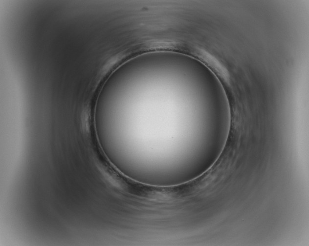 X0000115510107200911131349