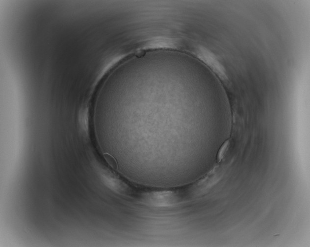 X0000115510108200911131349