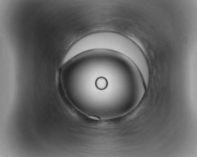 X0000115510109200911131349