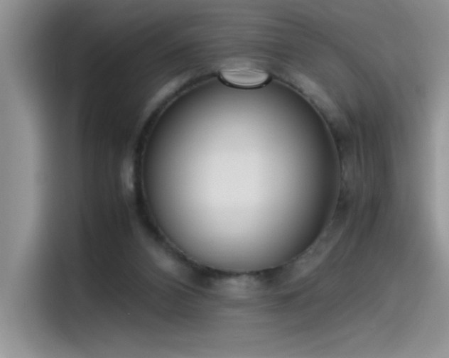 X0000115510112200911131349