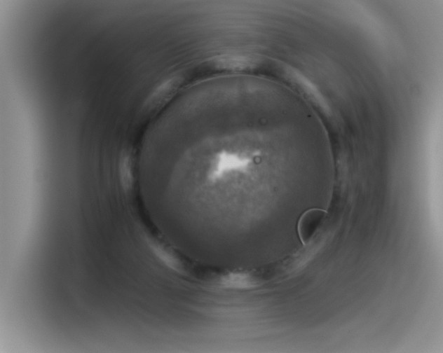 X0000115510114200911131349