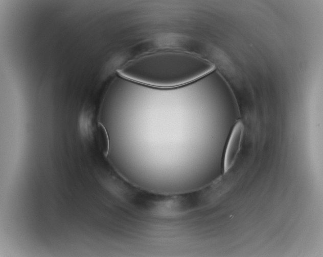 X0000115510116200911131349