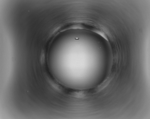 X0000115510120200911131349