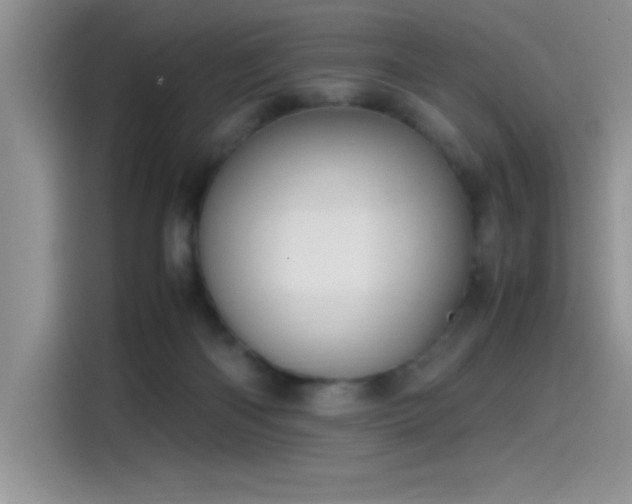 X0000115510122200911131349