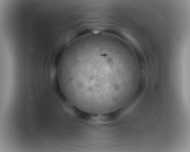 X0000115510125200911131348