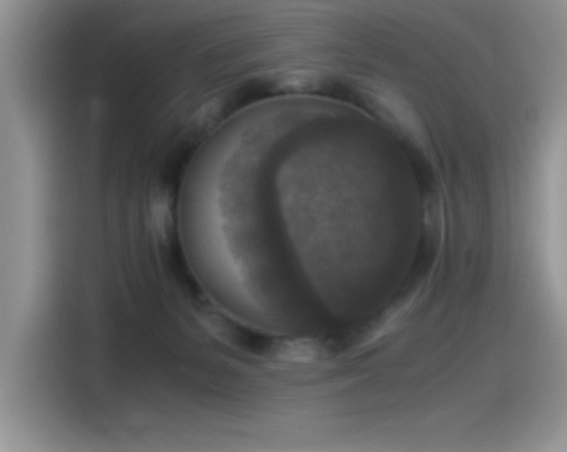 X0000115510127200911131348