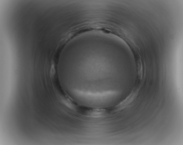 X0000115510128200911131348