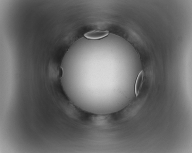 X0000115510129200911131348