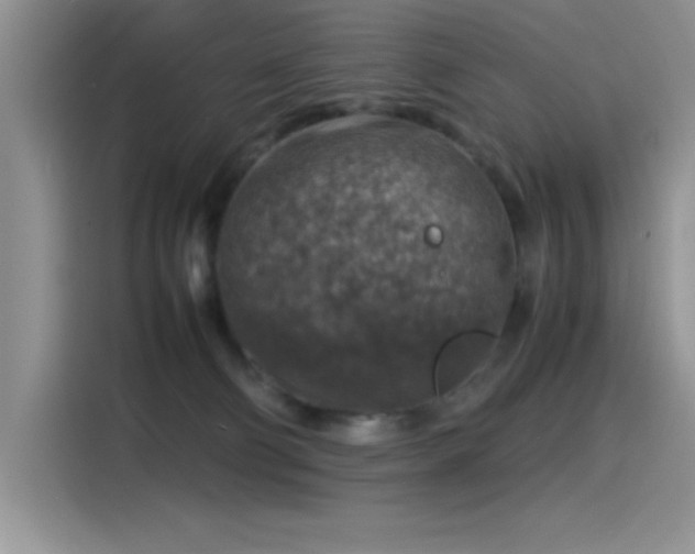 X0000115510130200911131348